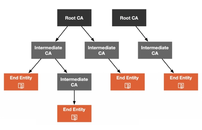 Need to Know About the Certificate Chain of Trust