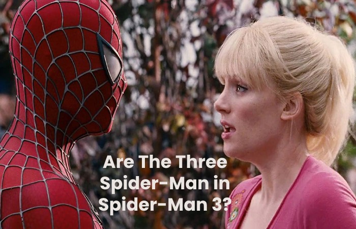 Are The Three Spider-Man in Spider-Man 3?