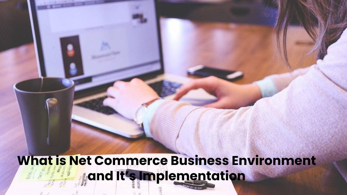 What is Net Commerce Business Environment and It’s Implementation