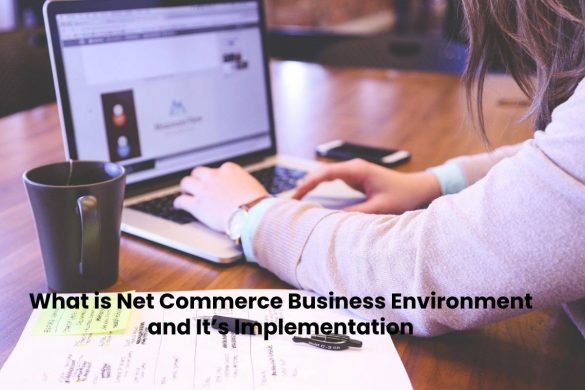 What is Net Commerce Business Environment and It’s Implementation