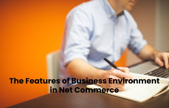 What is Net Commerce Business Environment and It’s Implementation