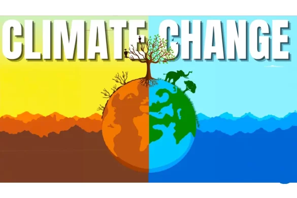 8 Facts That Are Proof of Climate Change