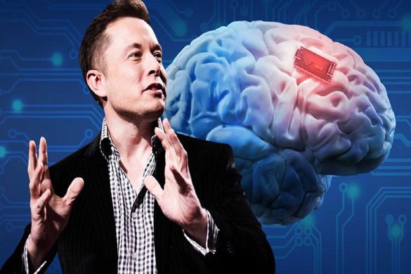 rajkotupdates.news : elon musk in 2022 neuralink start to implantation of brain chips in humans